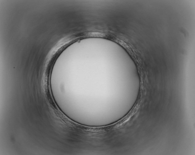 X0000113750343200909231010