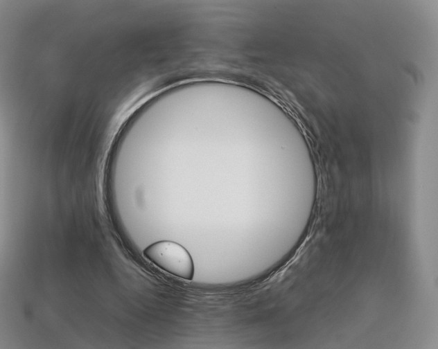 X0000113750344200909231010