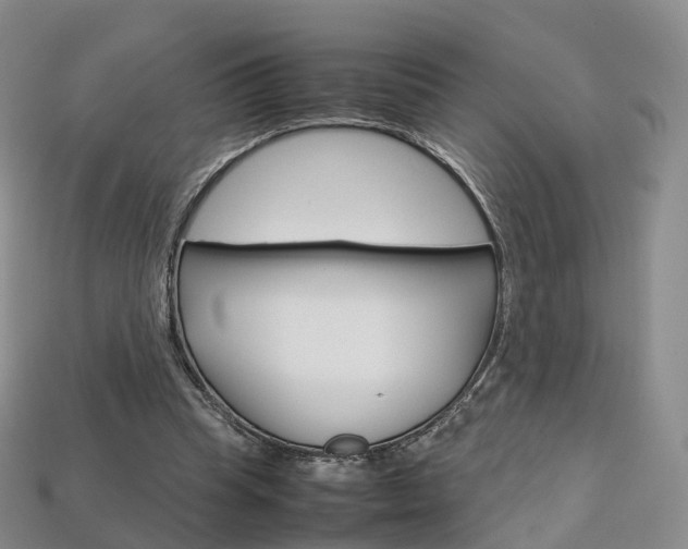 X0000113750345200909231010