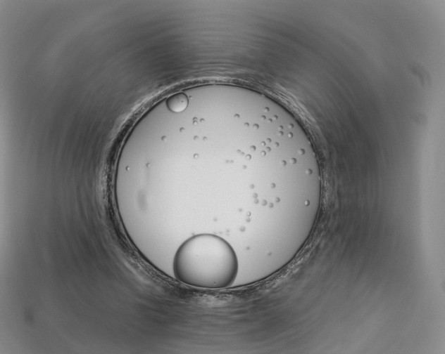 X0000113750346200909231010