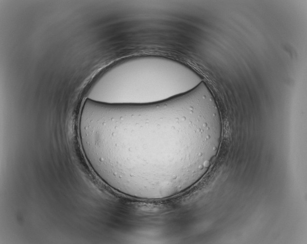X0000113750347200909231010