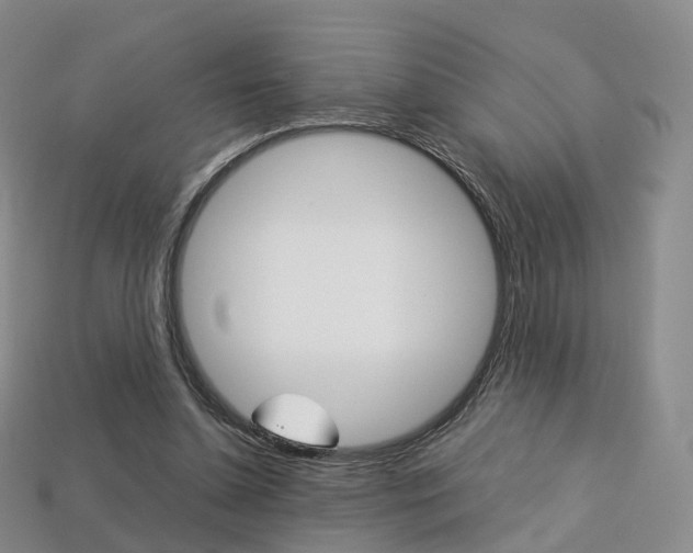 X0000113750348200909231010