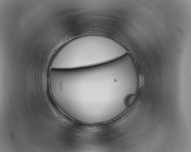 X0000113750349200909231010