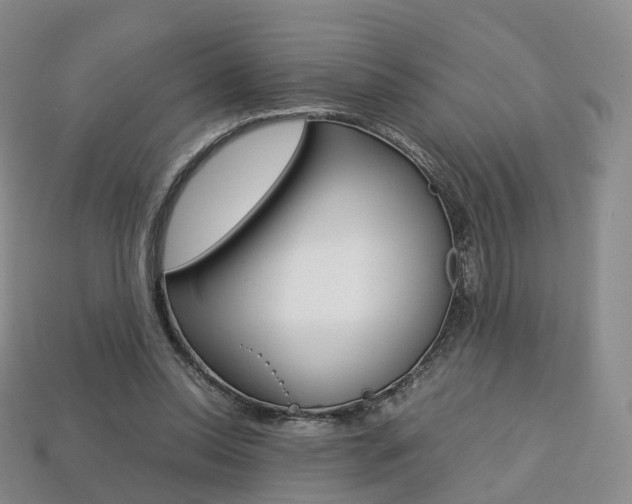 X0000113750350200909231010