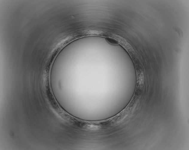 X0000113750352200909231010