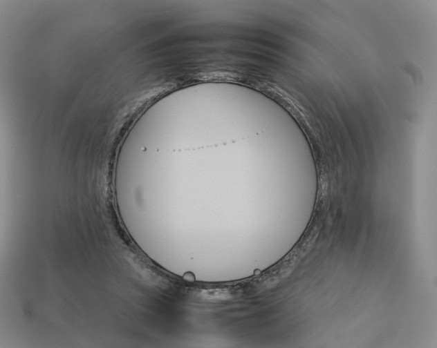 X0000113750353200909231010