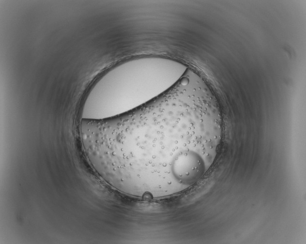 X0000113750354200909231010