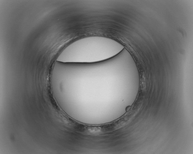 X0000113750355200909231010