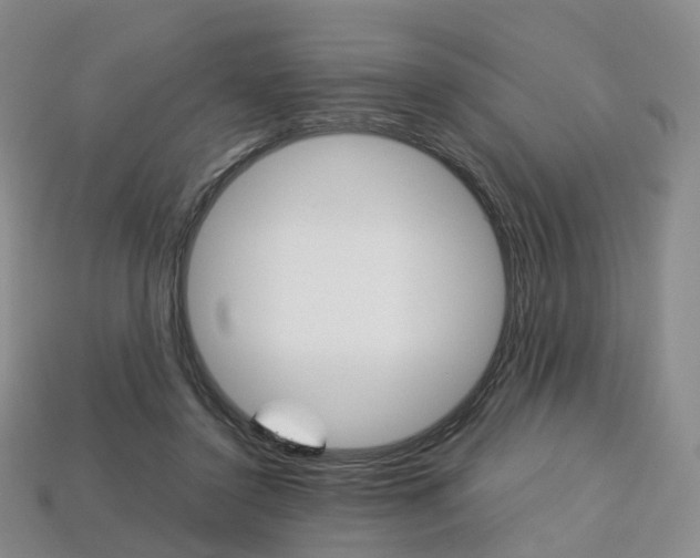 X0000113750356200909231010