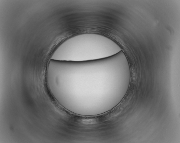 X0000113750357200909231010