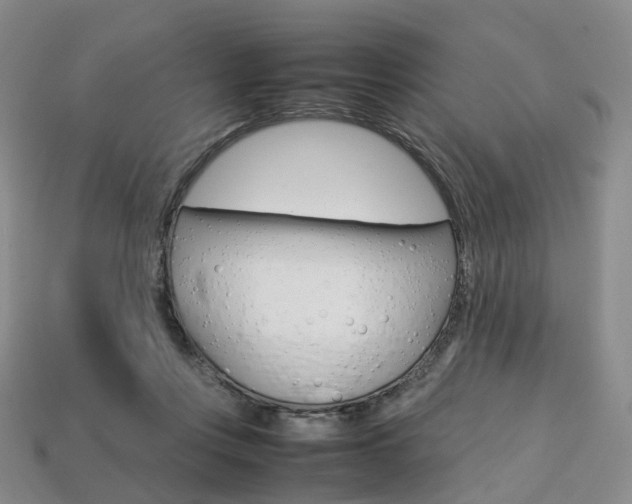 X0000113750359200909231010