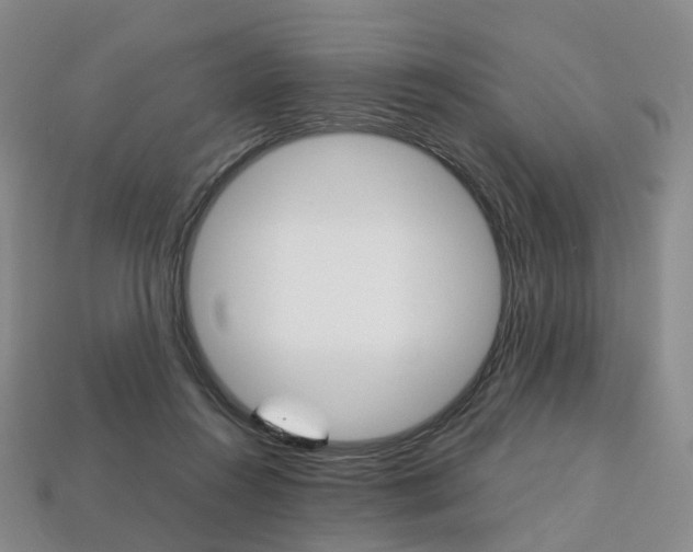 X0000113750360200909231010