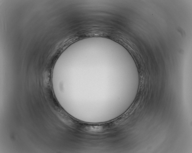 X0000113750361200909231010