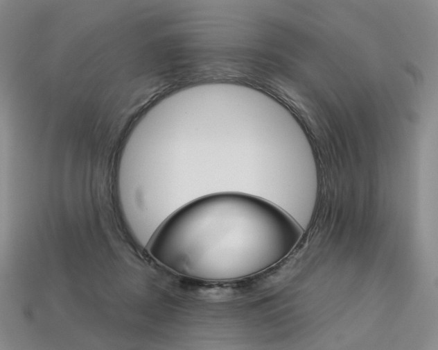 X0000113750362200909231010