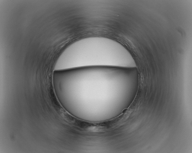 X0000113750364200909231010