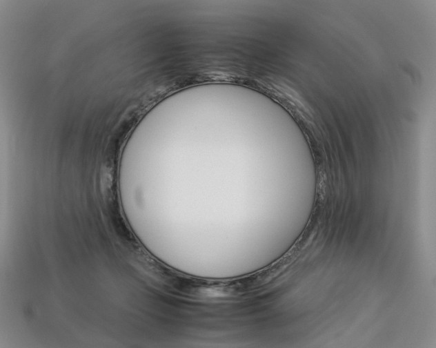 X0000113750365200909231010