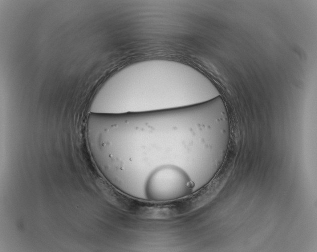 X0000113750366200909231010