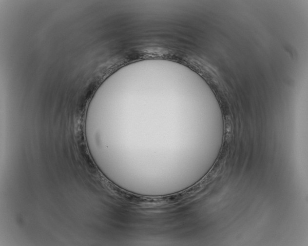 X0000113750369200909231010