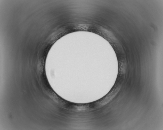 X0000113750370200909231010