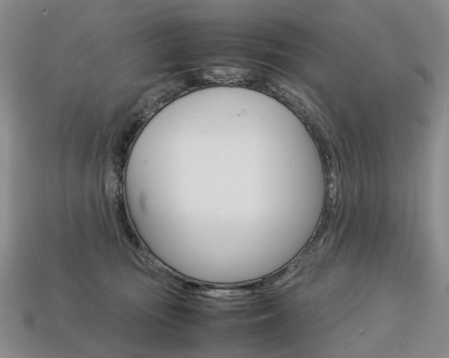 X0000113750371200909231010