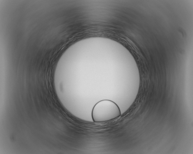 X0000113750372200909231010