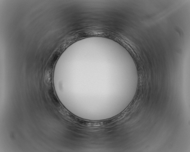 X0000113750373200909231010