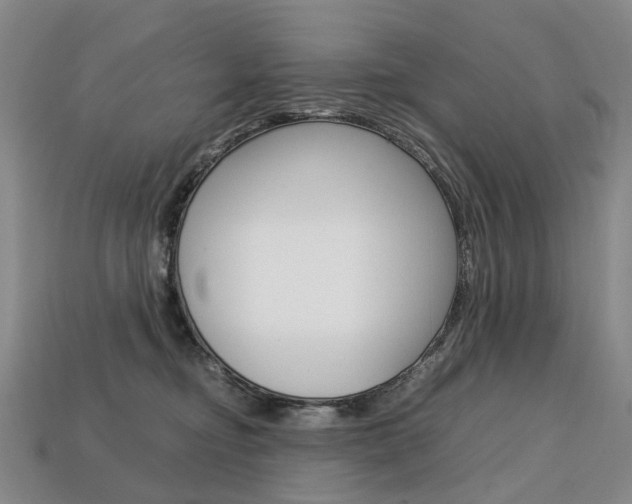 X0000113750374200909231010