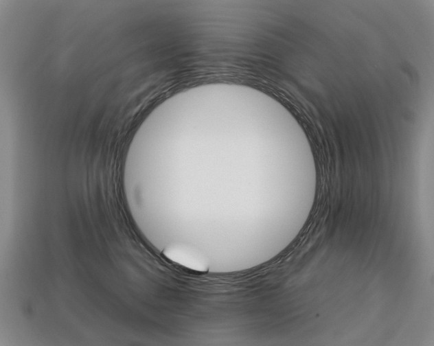 X0000113750376200909231010
