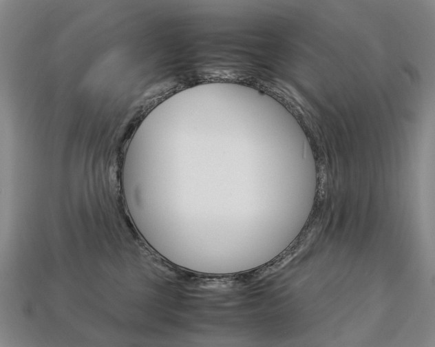 X0000113750377200909231010