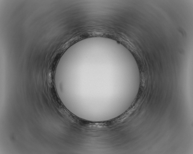 X0000113750378200909231010
