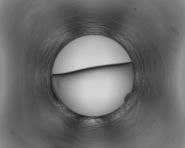 X0000113750379200909231010