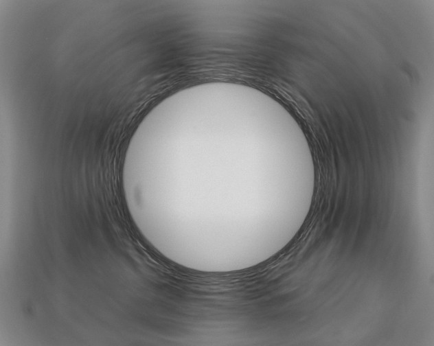 X0000113750380200909231010
