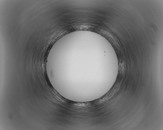 X0000113750381200909231010