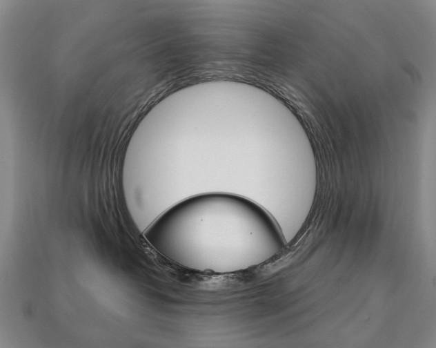 X0000113750382200909231010