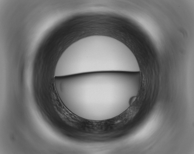 X0000113750383200909231010