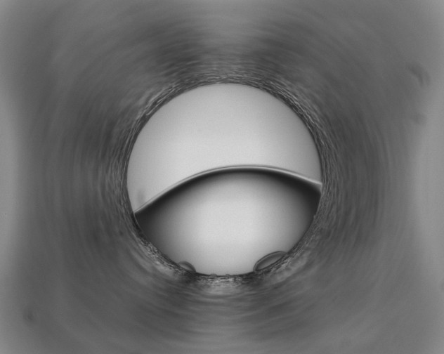 X0000113750384200909231010
