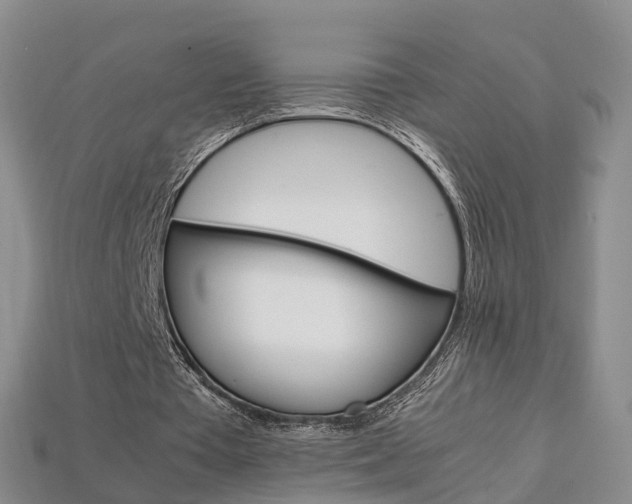 X0000113750385200909231010