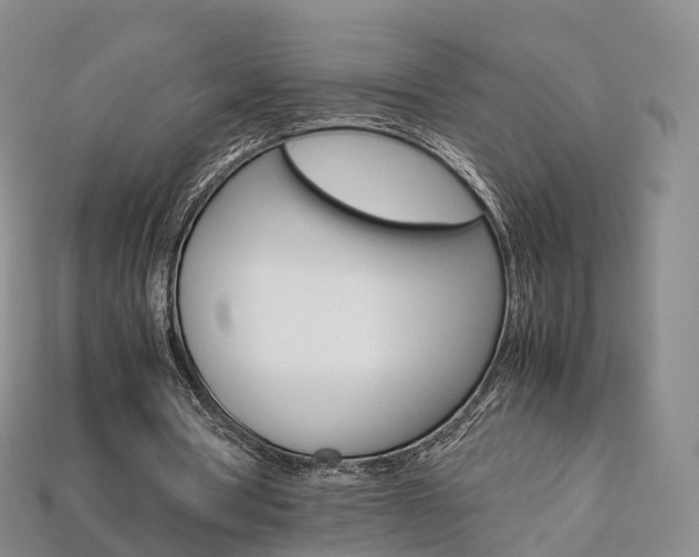 X0000113750386200909231010