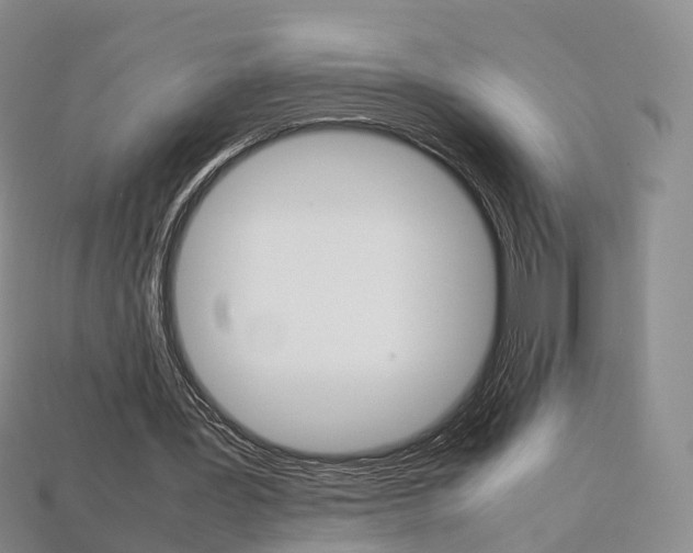 X0000113750387200909231010