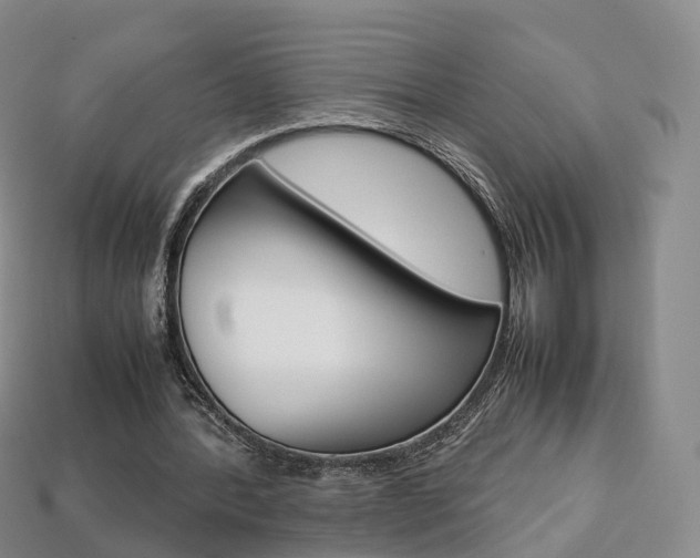 X0000113750388200909231010