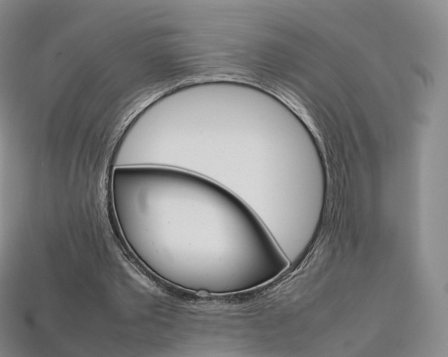 X0000113750389200909231010