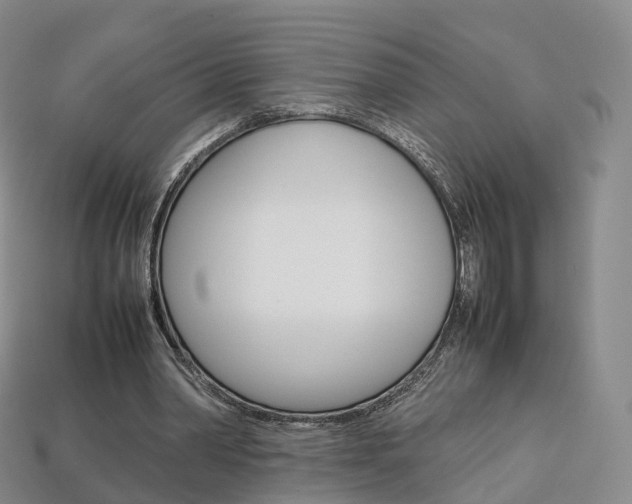 X0000113750390200909231010
