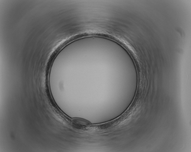 X0000113750391200909231010