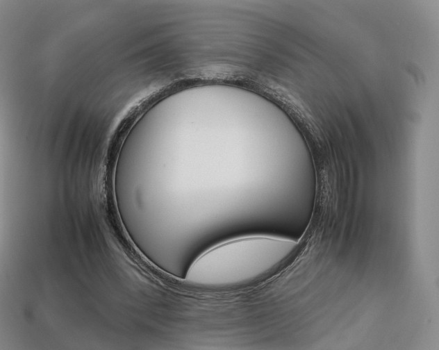 X0000113750392200909231010