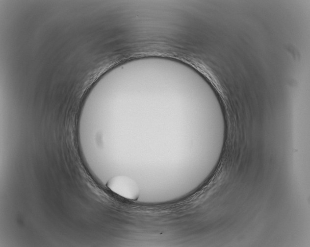 X0000113750393200909231010