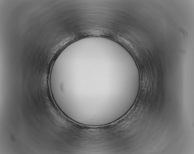 X0000113750394200909231010