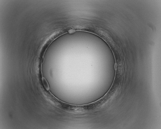 X0000113750395200909231010