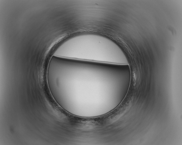 X0000113750396200909231010