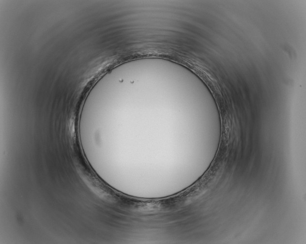 X0000113750398200909231010