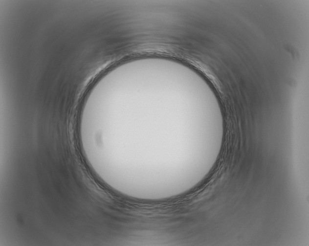 X0000113750399200909231010